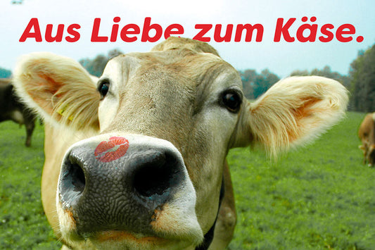 Klimaschutz und Nachhaltigkeit