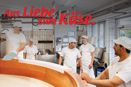 How to make cheese – wie Käse gemacht wird, einfach erklärt
